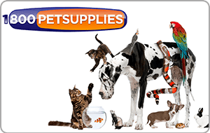 Gift Brand Image